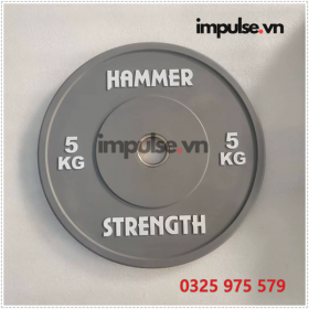 Hammer-5-kg-impulse.vn