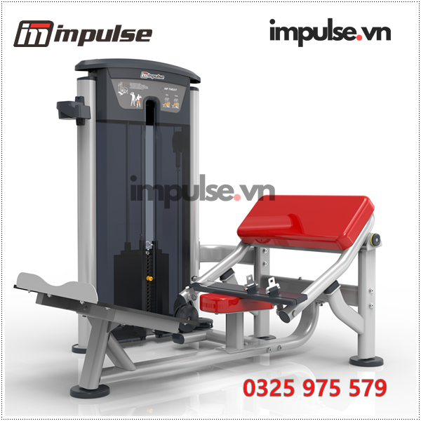 IT9538-impulse.vn