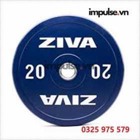 Ta-ziva-20-kg-impulse.vn