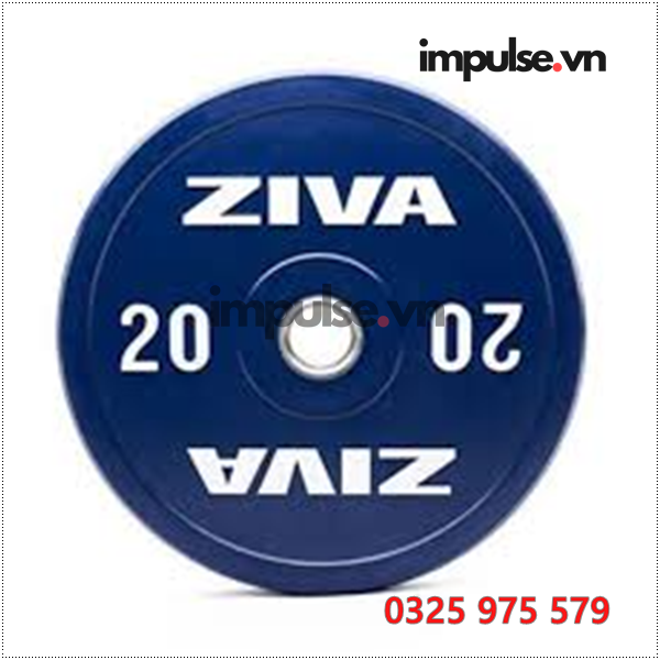 Ta-ziva-20-kg-impulse.vn