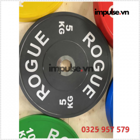 rogue-